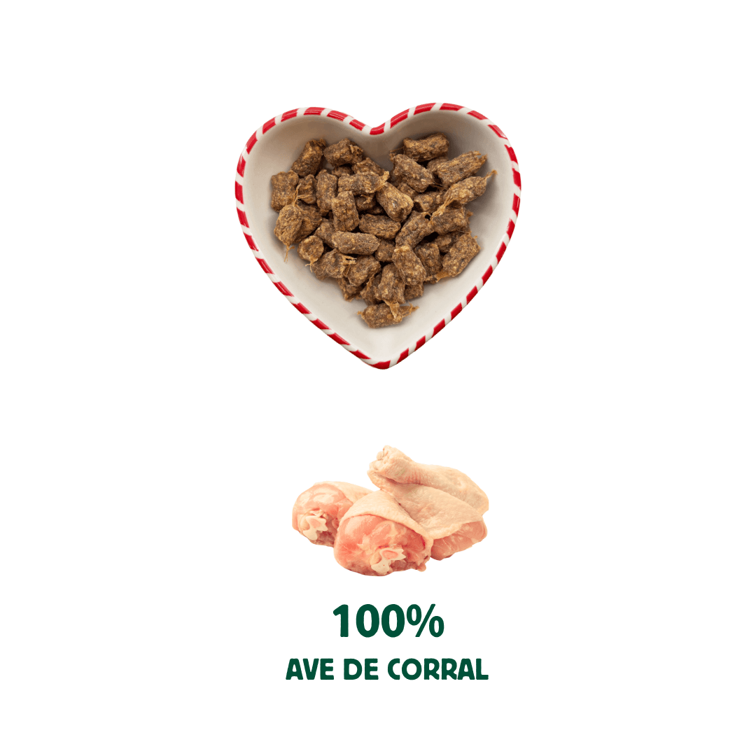 Bocaditos Navideños  Premios Naturales de WildBalance